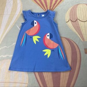 Tea Collection Blue Tropical Parrot Dress 9-12 Mos